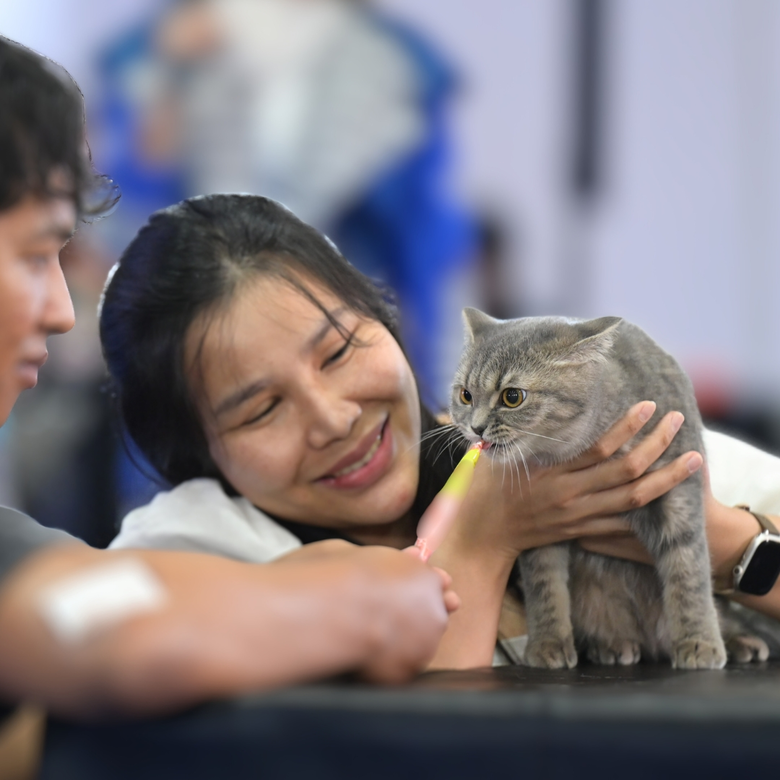 ทาสแมวเตรียมตัวให้พร้อม! พบกันที่งาน Thailand Cat Lovers Fair 2025 28-30 มีนาคมนี้ พบความสนุกและน่ารัก เต็มพื้นที่ฮอลล์ 8 อิมแพค เมืองทองธานี