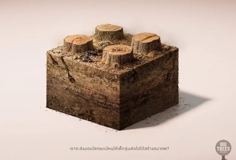 Big Trees Project, a foundation and conse...