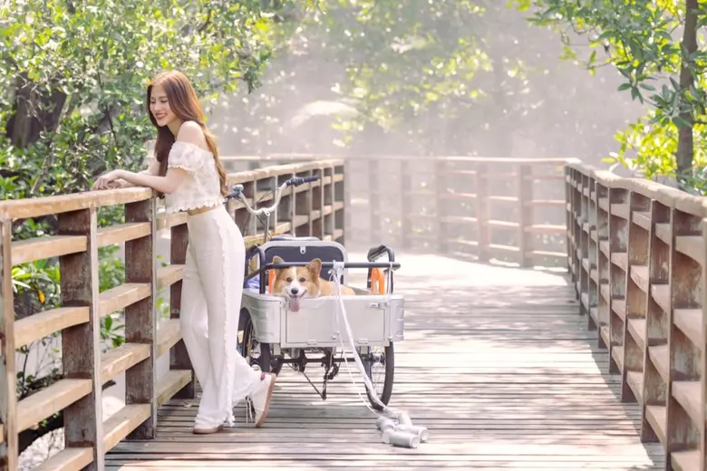 ททท. ดึง "ใบเฟิร์น พิมพ์ชนก" ปลุกกระแสเที่ยวไทย เปิดตัวภาพยนตร์โฆษณาชุดใหม่ภายใต้แคมเปญ "สุขทันที ที่เที่ยวไทย"