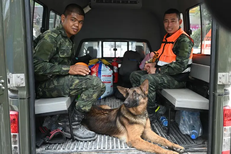 ซีพีเอฟ โดย JerHigh พร้อมเคียงข้าง "ชุดปฏิบัติการสุนัข K9" ฮีโร่ 4 ขา ในภารกิจค้นหาผู้รอดชีวิต จากเหตุแผ่นดินไหว