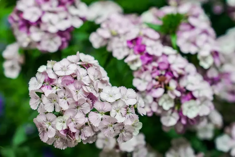 นิทรรศการ "รัตนแห่งจุฬาฯ" 28 มีนาคม ถึง 3 เม.ย.นี้ ณ ศูนย์การค้าสามย่านมิตรทาวน์