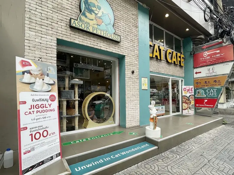 เคทีซีหนุนคาเฟ่คอนเซ็ปท์เก๋ "อโศก เพ็ทเฮ้...