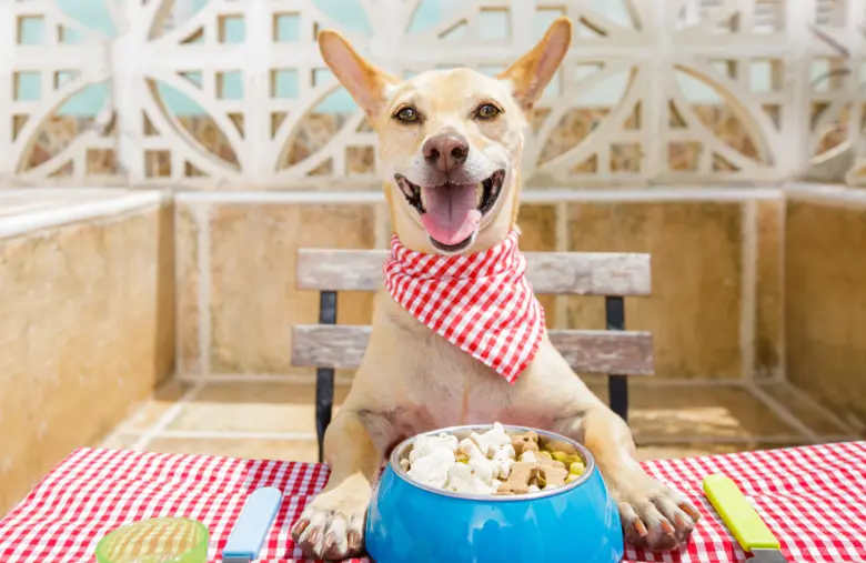 สุนัขเป็นสัตว์ที่มีความหลากหลายของสายพันธ...