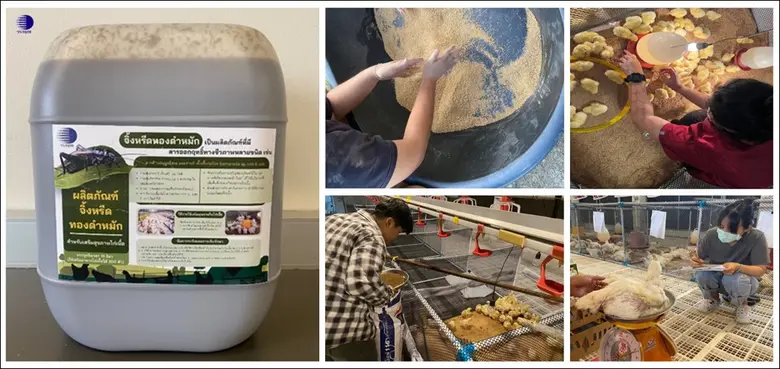 กระทรวงการอุดมศึกษา วิทยาศาสตร์ วิจัยและน...