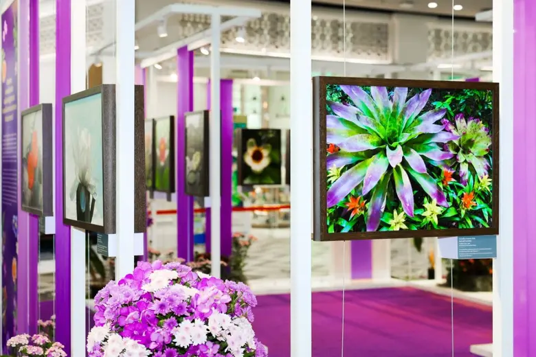 สร้างความประทับใจให้กับผู้เข้าร่วมงานกันท...